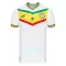 Dres Senegal Domaći SP 2022