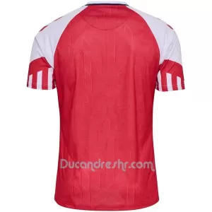 Dres Danska Domaći 2023