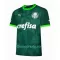 Dres Palmeiras Domaći 2023/24
