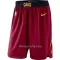 NBA Hlačice Cleveland Cavaliers Icon Edition Swingman