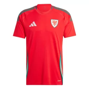Dres Wales Domaći 2024 Dres Wales Domaći 2024