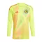 Dres Škotska Golmanski UEFA Euro 2024 Dugi Rukav Žuti