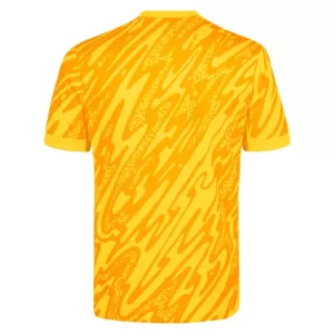 Dres Tottenham Hotspur Golmanski 2024/25 Žuti