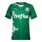 Dres Palmeiras 2024 Zelena Specifična