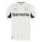 Dres Bayer 04 Leverkusen Gostujući 2024/25