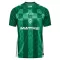 Dres Werder Bremen Domaći 2024/25