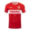 Dres VfB Stuttgart Gostujući 2024/25