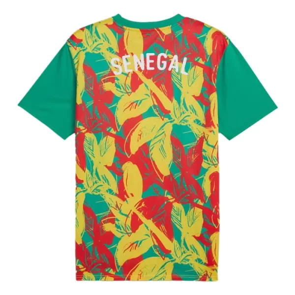 Dres Senegal Pre-Match 2024/25