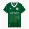 Dres Palmeiras Domaći 2025/26