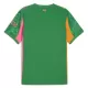 Dres Manchester City Golmanski 2025/26 Zelena