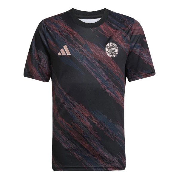 Dres FC Bayern Munich Pre-Match 2025/26 Dres FC Bayern Munich Pre-Match 2025/26