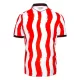 Dres Stoke City Domaći 2025/26