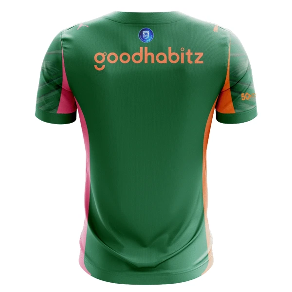 Dres PSV Eindhoven Golmanski 2025/26 Zelena
