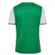 Dres AS Saint-Étienne Domaći 2025/26