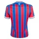 Dres Crystal Palace Dječji Domaći 2025/26
