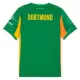 Dres Borussia Dortmund Golmanski 2025/26 Zelena