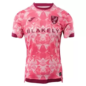 Dres Norwich City Treći 2025/26