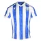 Dres Sheffield Wednesday Domaći 2025/26