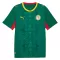 Dres Senegal Gostujući SP 2026