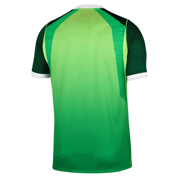 Dres Nigerija Domaći 2026/27