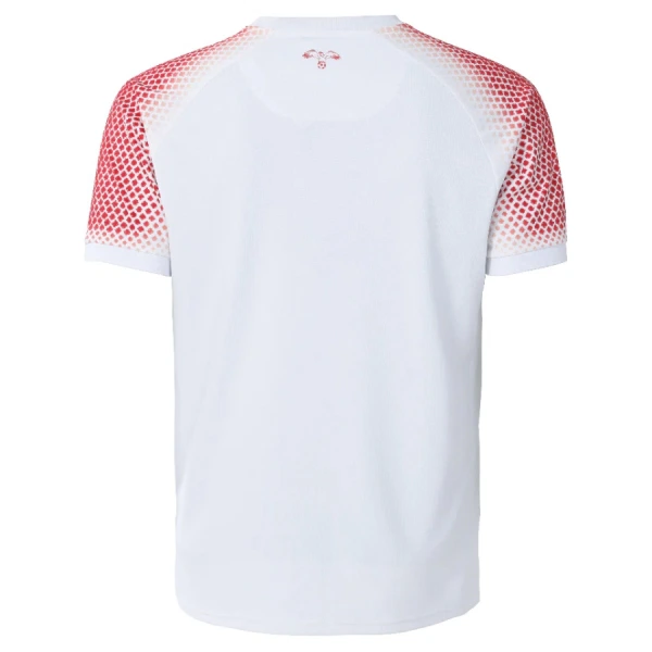Dres Domaći Jordan SP 2026