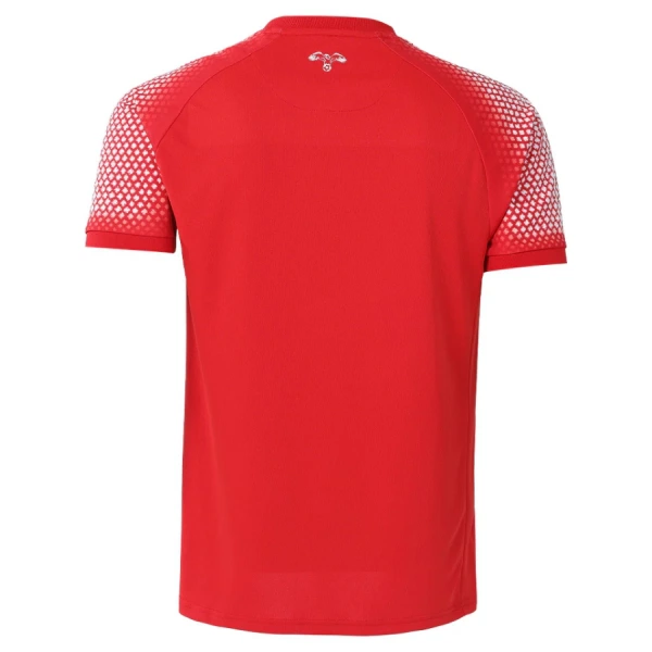 Dres Gostujući Jordan SP 2026