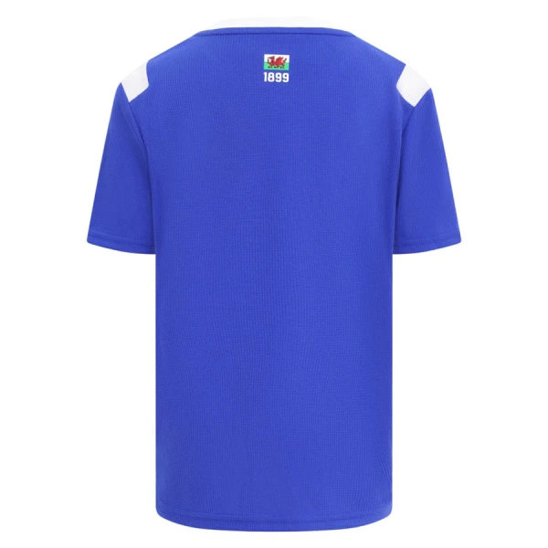 Dres Cardiff City Domaći 2026/27