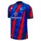 Dres Crystal Palace Treći 2026/27