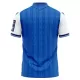 Dres TSG 1899 Hoffenheim Domaći 2026/27